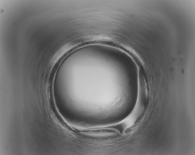 X0000080710983200612221138