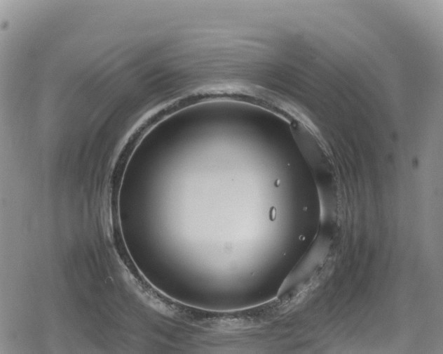 X0000080710984200612221138