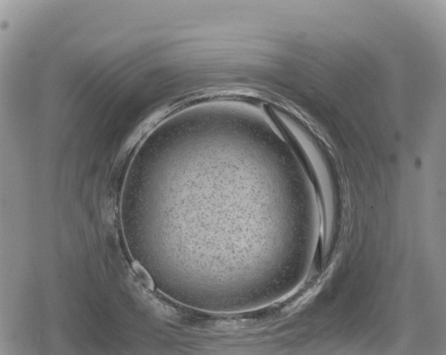 X0000080710985200612221138