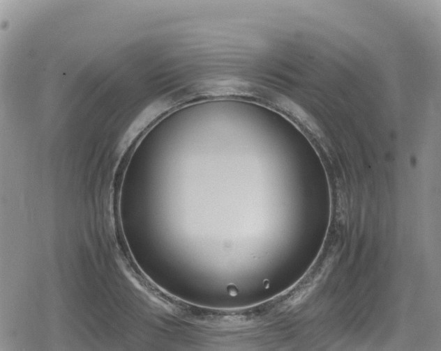 X0000080710986200612221138