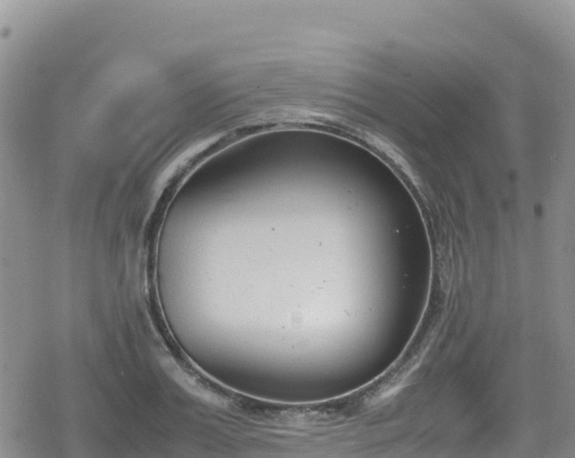 X0000080710987200612221138