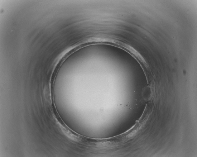 X0000080710988200612221138