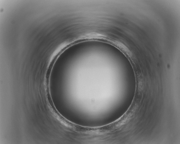 X0000080710990200612221138