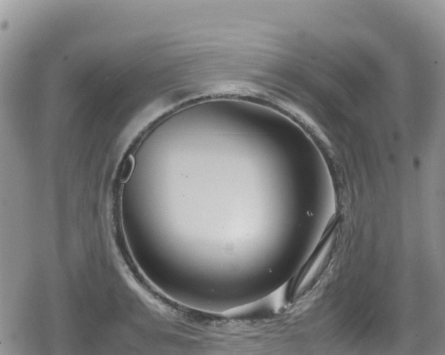 X0000080710991200612221138