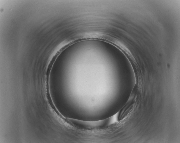 X0000080710992200612221138