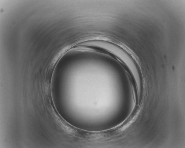 X0000080710993200612221138