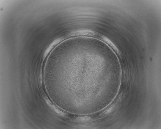 X0000080710994200612221138