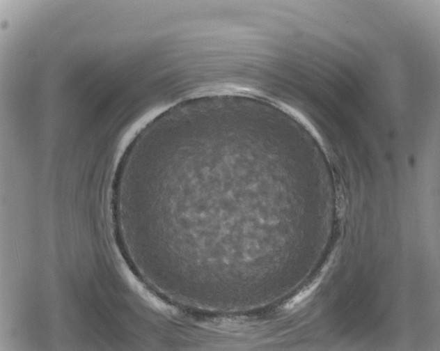 X0000080710995200612221138