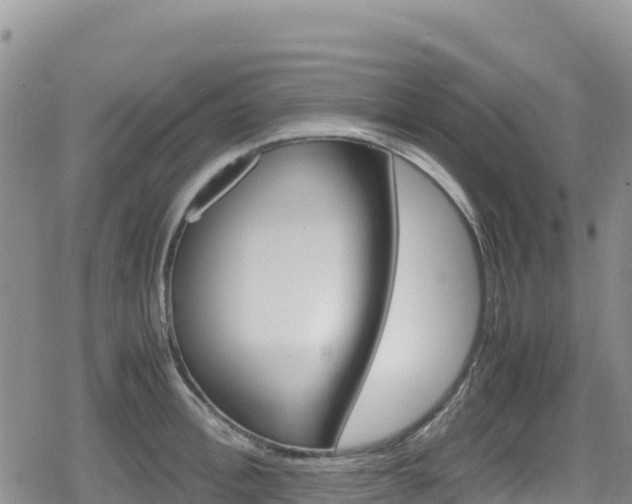 X0000080710996200612221138