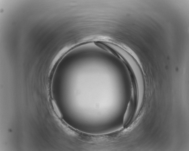 X0000080710997200612221138