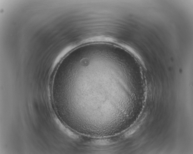 X0000080710998200612221138