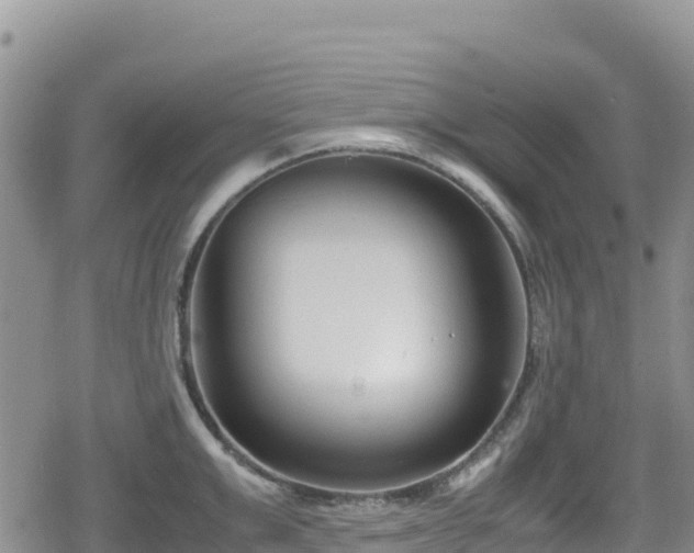 X0000080710999200612221138