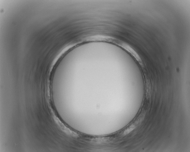 X0000080711000200612221138