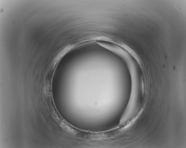 X0000080711001200612221138