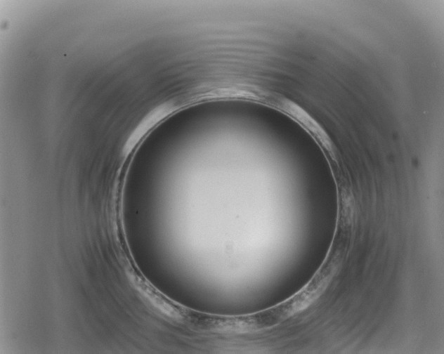 X0000080711002200612221138