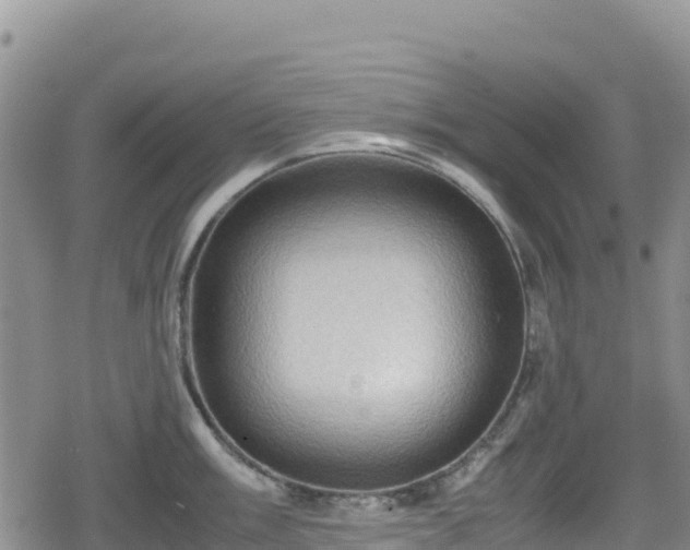 X0000080711003200612221138