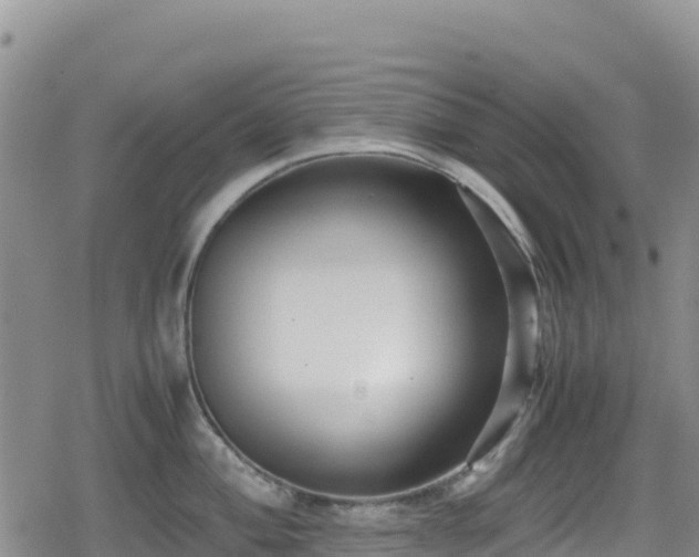 X0000080711004200612221138