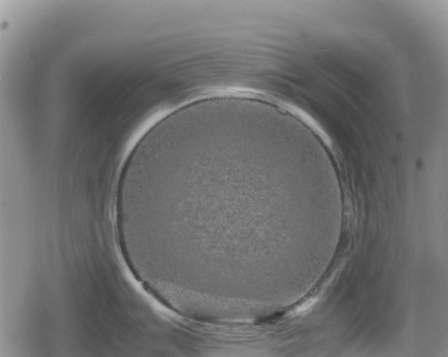 X0000080711007200612221138