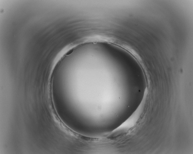 X0000080711008200612221138