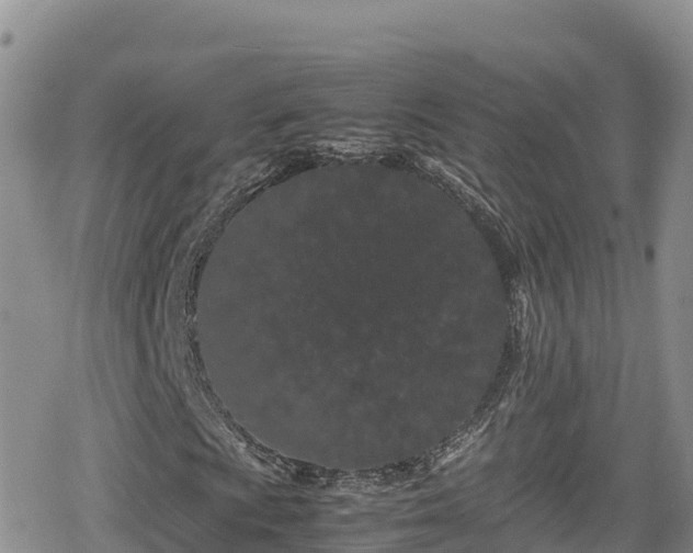 X0000080711009200612221137