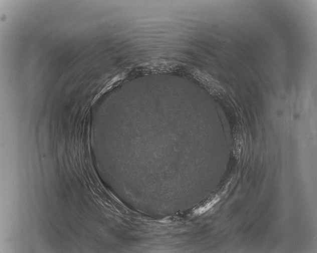 X0000080711010200612221137