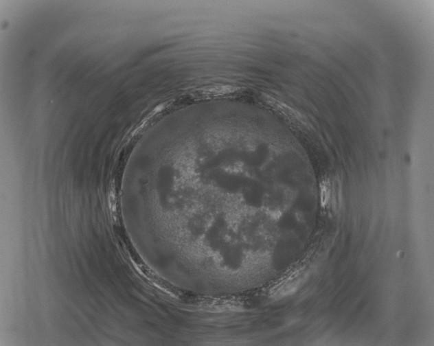 X0000080711011200612221137