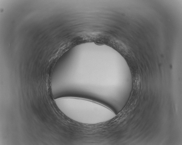 X0000080711012200612221137