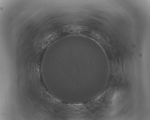 X0000080711013200612221137