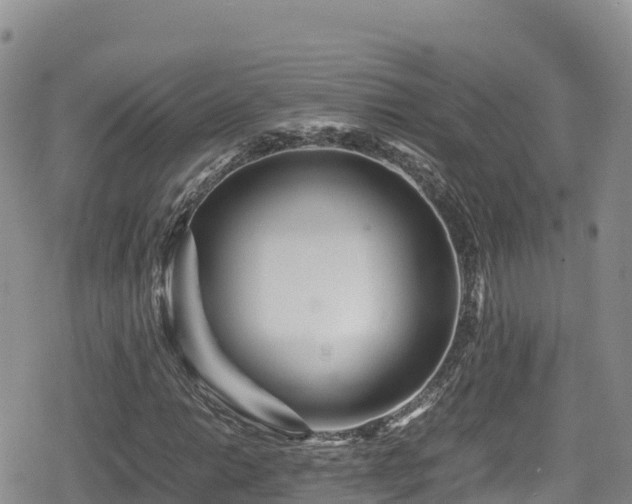 X0000080711014200612221137