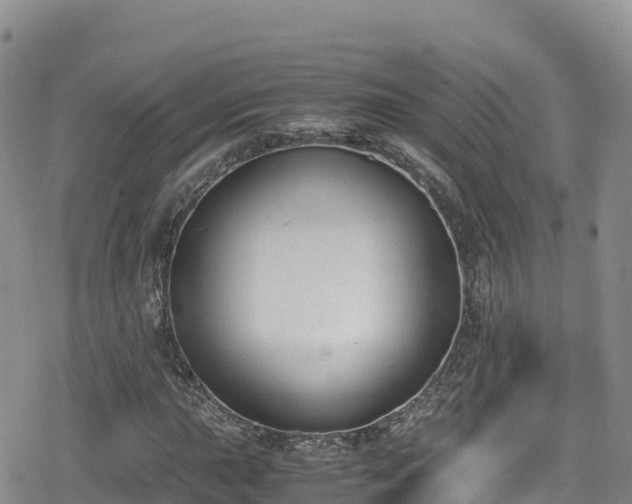 X0000080711015200612221137