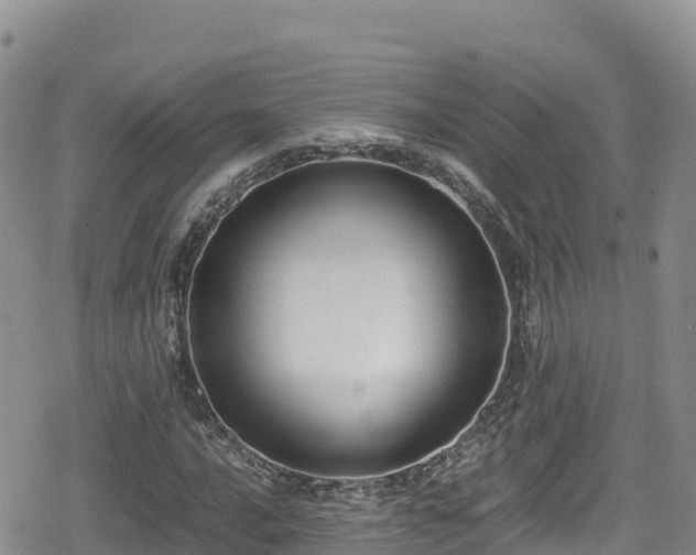 X0000080711016200612221137