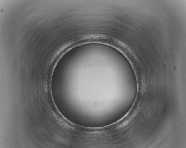 X0000080711017200612221137