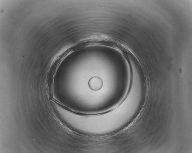 X0000080711018200612221137