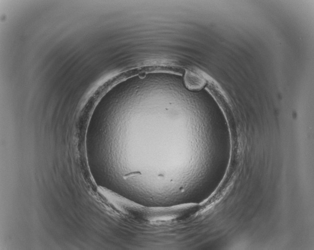 X0000080711019200612221137