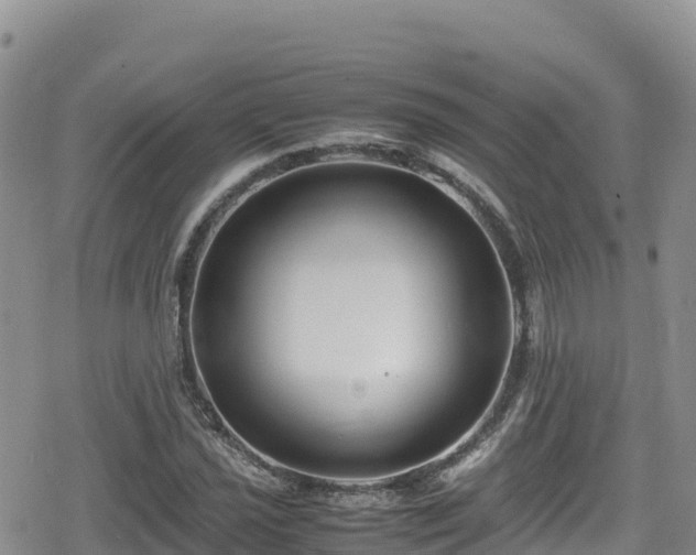 X0000080711021200612221137