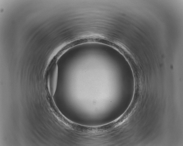 X0000080711022200612221137