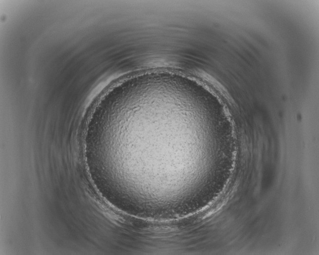 X0000080711023200612221137