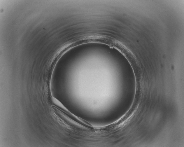 X0000080711025200612221137