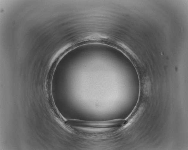 X0000080711026200612221137