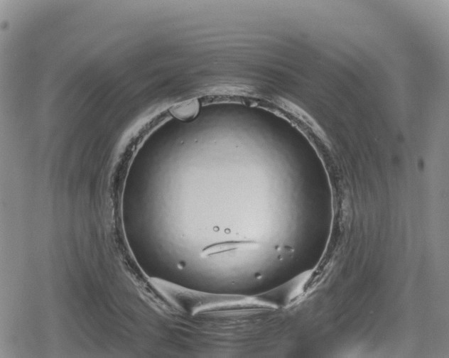 X0000080711027200612221137