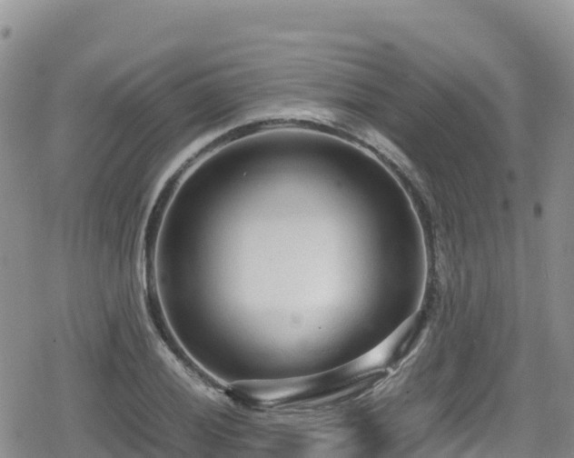 X0000080711028200612221137