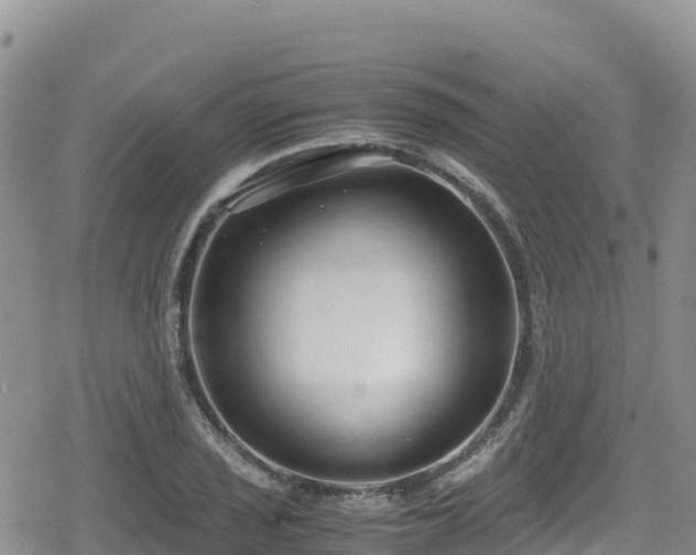 X0000080711029200612221137