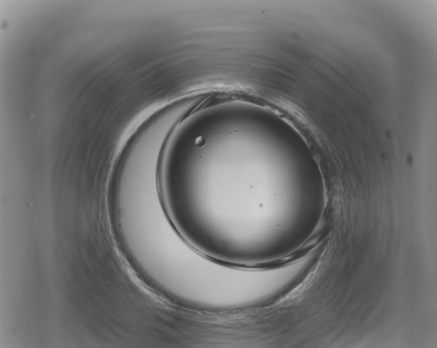 X0000080711030200612221137