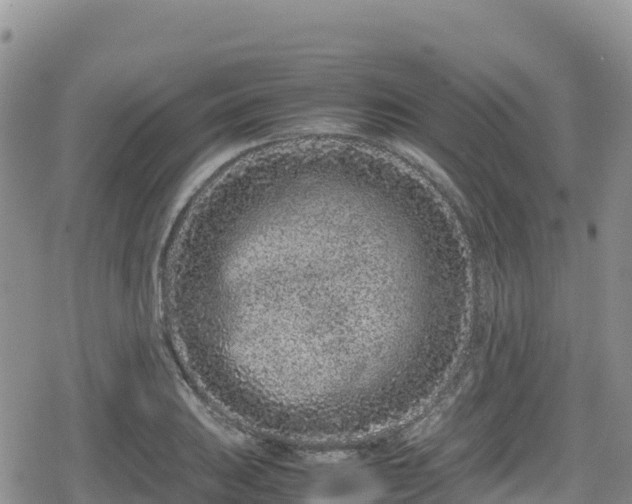 X0000080711031200612221137