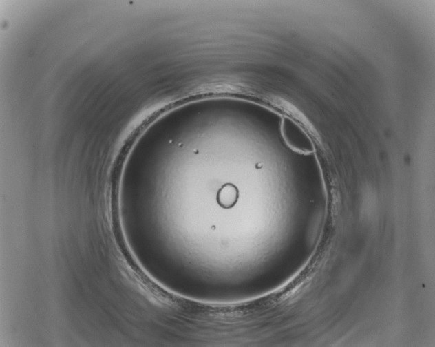 X0000080711035200612221138