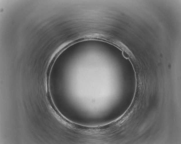 X0000080711036200612221138