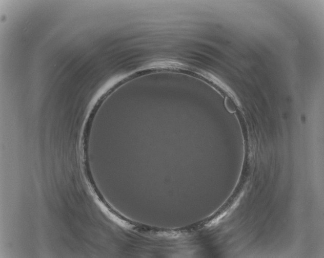 X0000080711037200612221138