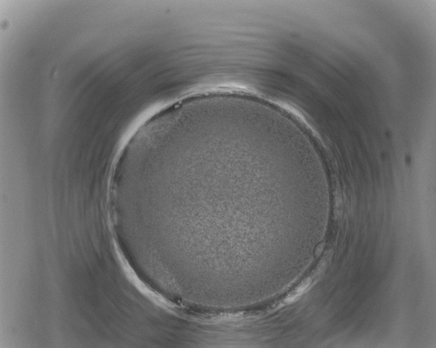 X0000080711038200612221138