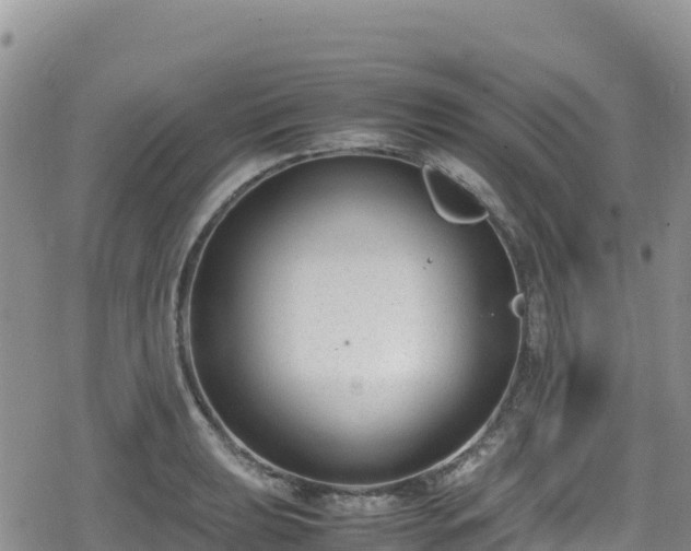 X0000080711039200612221138