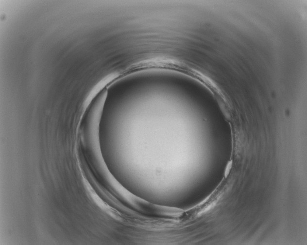 X0000080711042200612221138